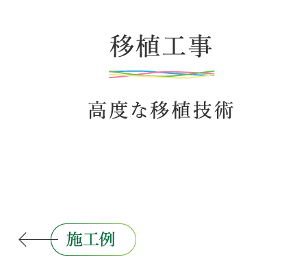 移植工事 高度な移植技術