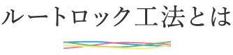 ルートロック工法とは